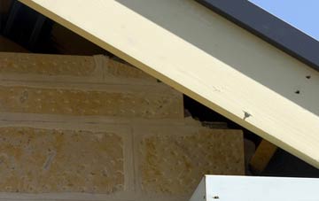 soffit repair Mobwell