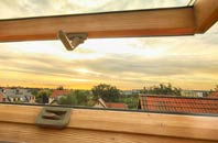 rated Mobwell roof window companies